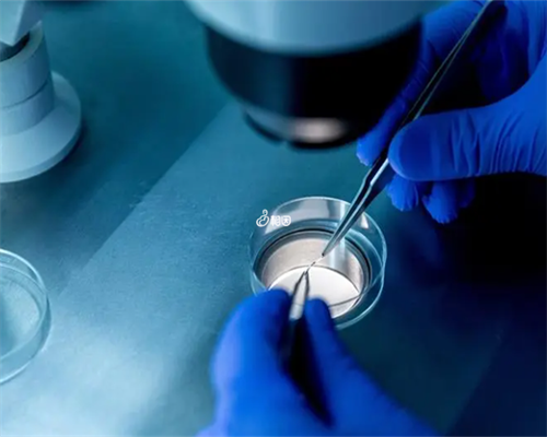 试管婴儿生双胞胎费用及流程详解，助您圆梦