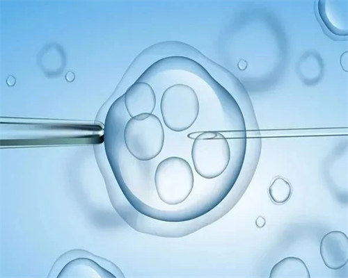 南京二胎政策详解：双独家庭补贴与代怀孕价格指南