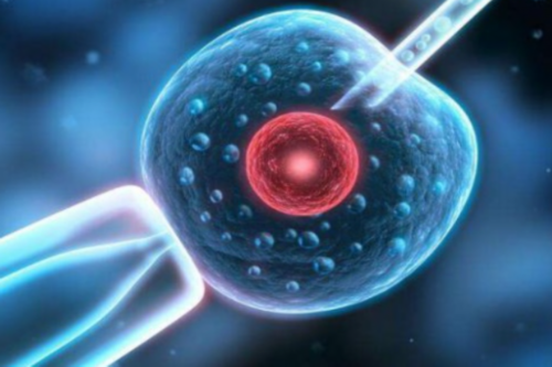 2026南京鼓楼医院试管婴儿代生子费用明细及助孕指南