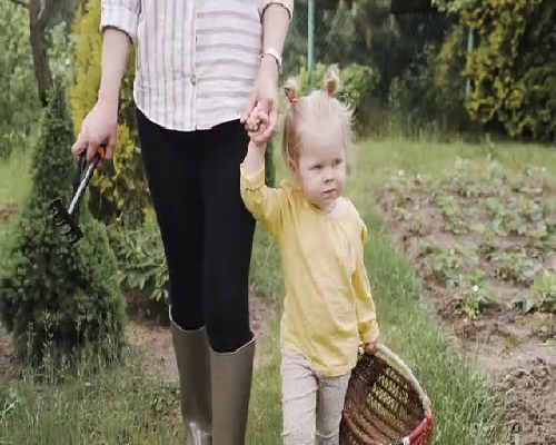 试管婴儿全过程时间解析与鼓楼医院流程指南